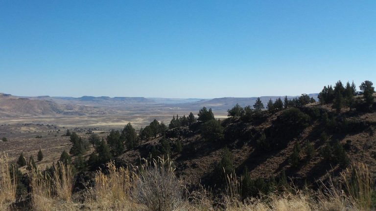 Beautiful Oregon for Young Drivers: Rules and Tips