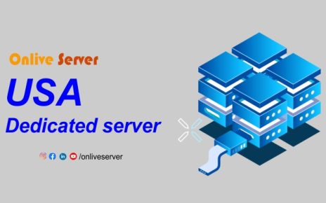 USA Dedicated Server: Professional Hosting Services Without the High Cost