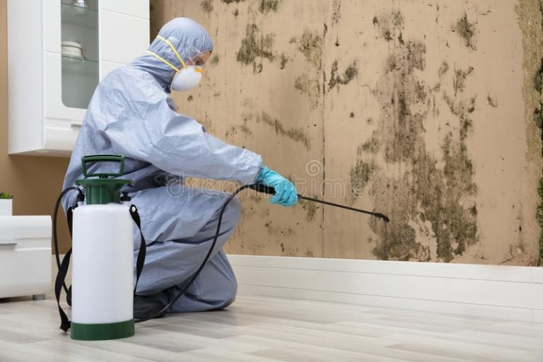 Don’t Let Pests Take Over: Choose Our Proven Pest Control